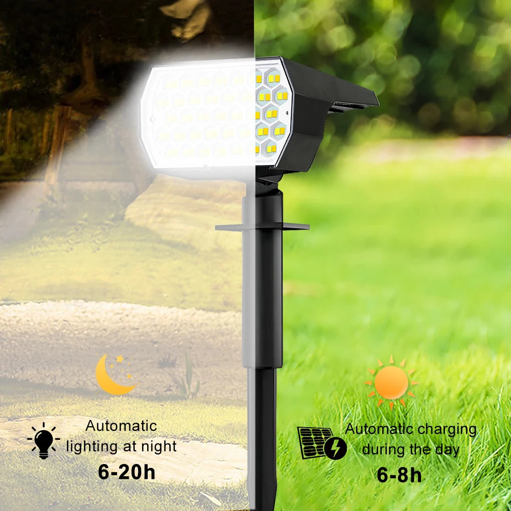 New Solar Spotlight