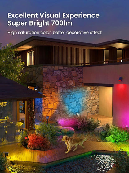 New Solar Spotlight